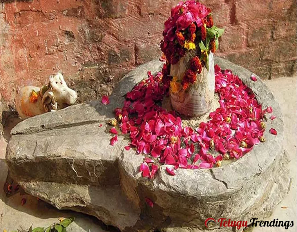 Lord Shiva Idol Discovered Under the Land