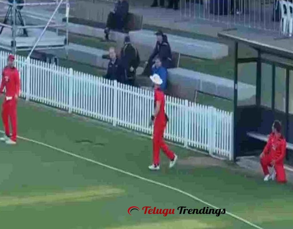 Three Fielders Trying to Grab One Catch in Marsh Cup