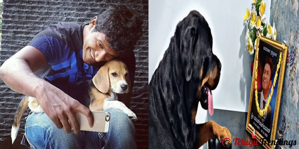 Puneeth Raj Kumar’s Pet Dogs get Emotional after his Death