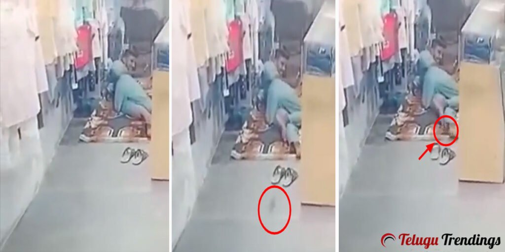 Rat Enters Shop Keepers Pant