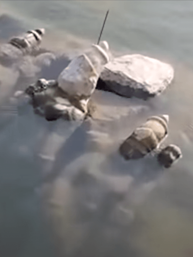 Ancient Idols Found in Krishna River