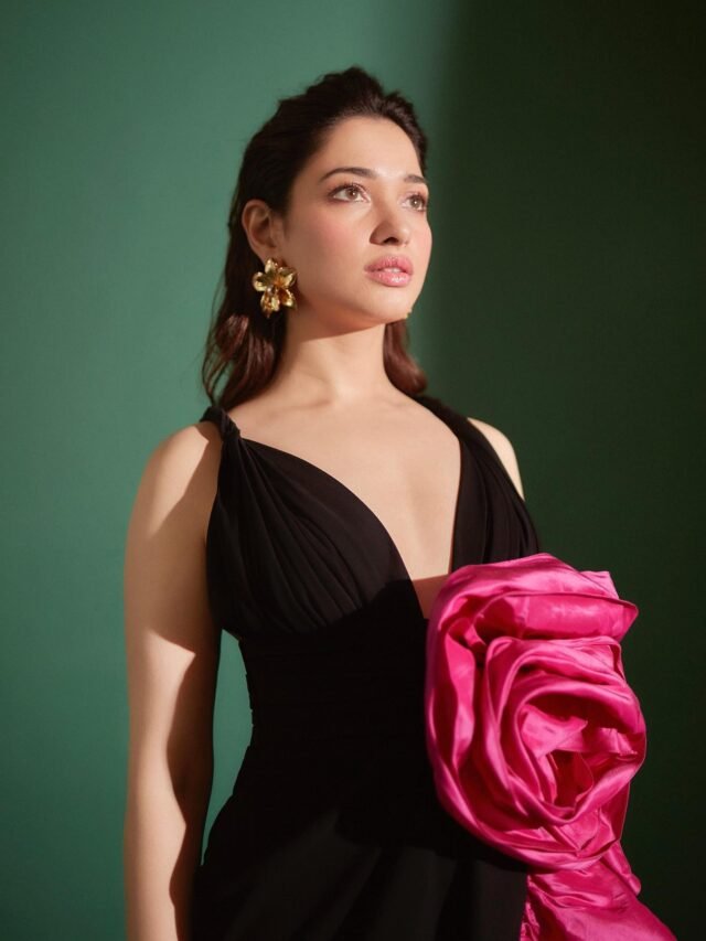 Elegant Looks of Tamannaah Bhatia (4)