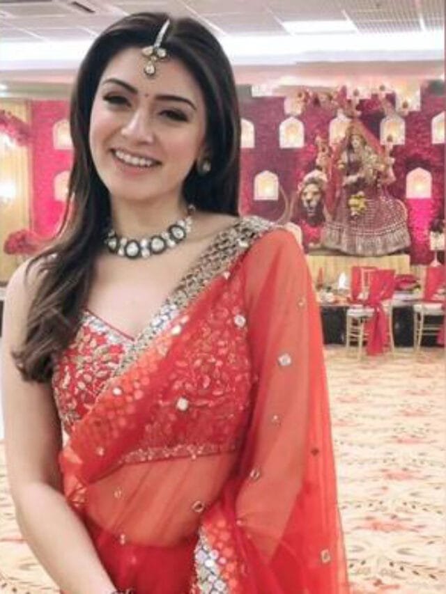 Hansika Motwani Pre-Weddin Photoshoot (1)
