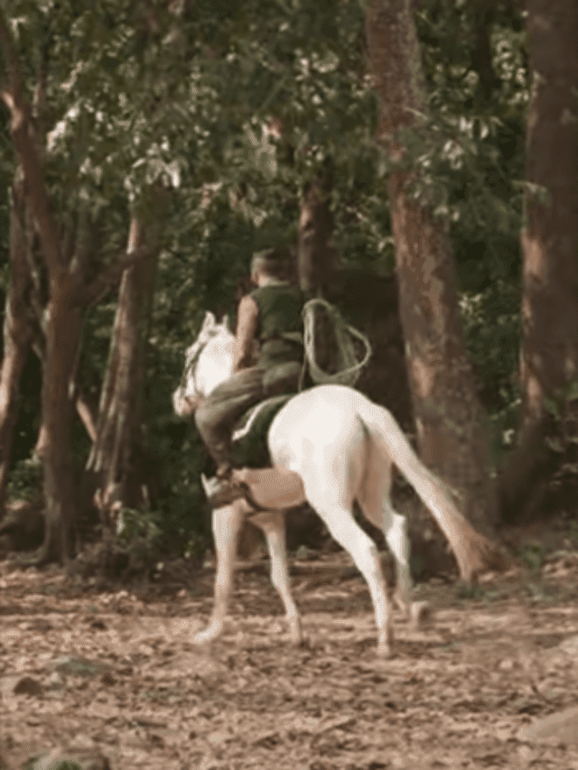 Puli Telugu Movie Teaser