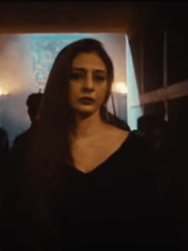 Phir Dhan Te Nan Hindi Song