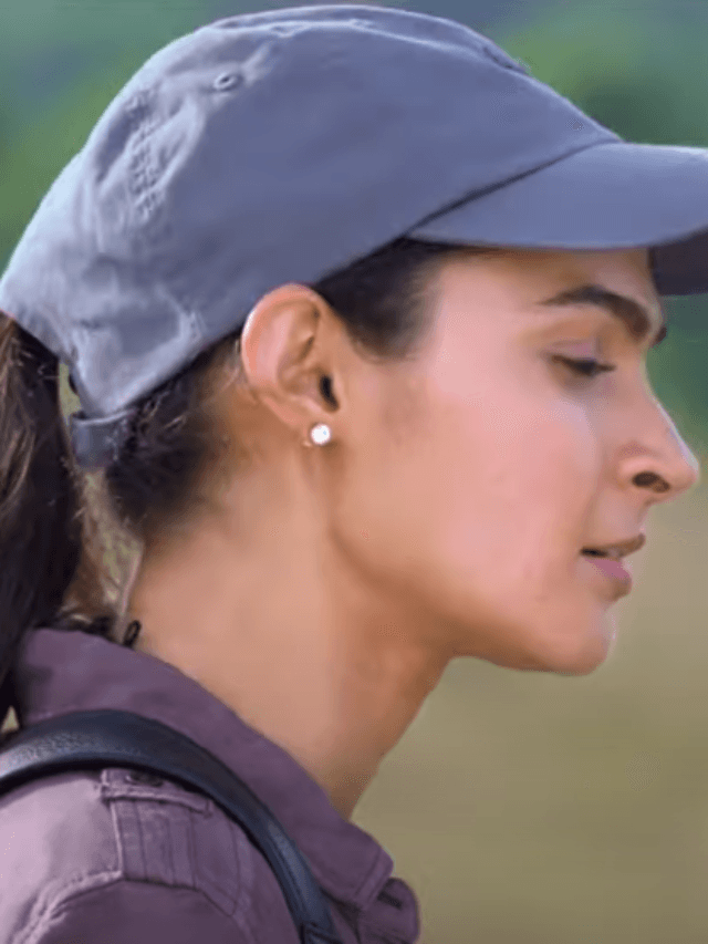 No Entry Telugu Trailer