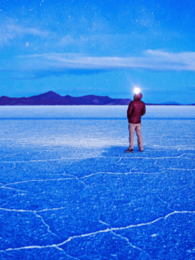 What is the most interesting fact in the world?