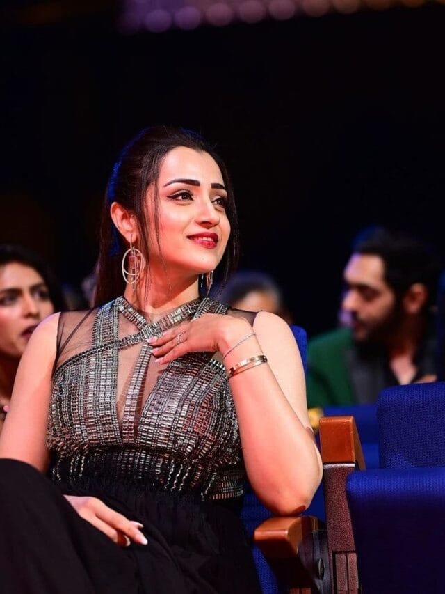 Trisha Glamorous Looks at Sima Awards 2023