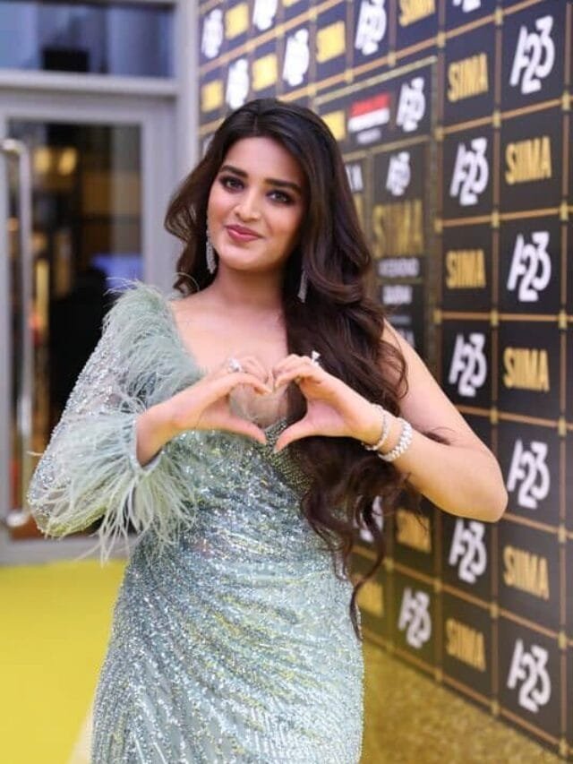 Nidhhi Agarwal Crazy Photoshoot at Sima Awards Event 2023