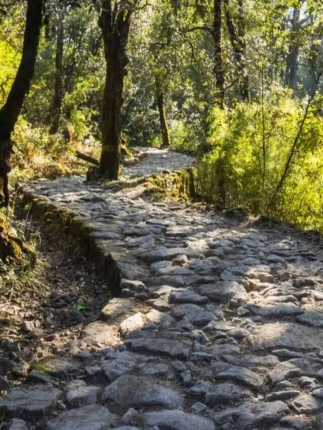 Best Places for Trekking Lovers