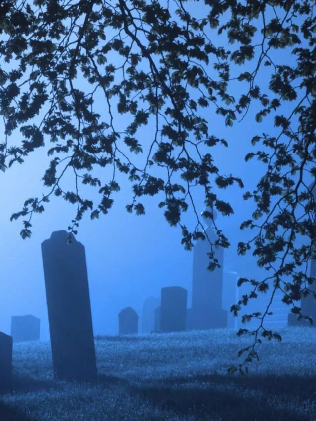 Delhi to Start Ghost Tour Very Soon