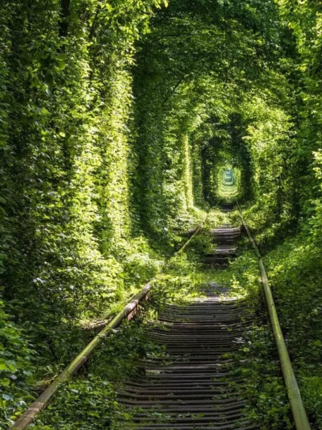 World's Most Unusual Train Journeys