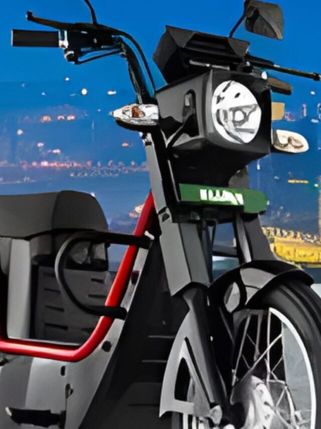 New Electric Luna Bike