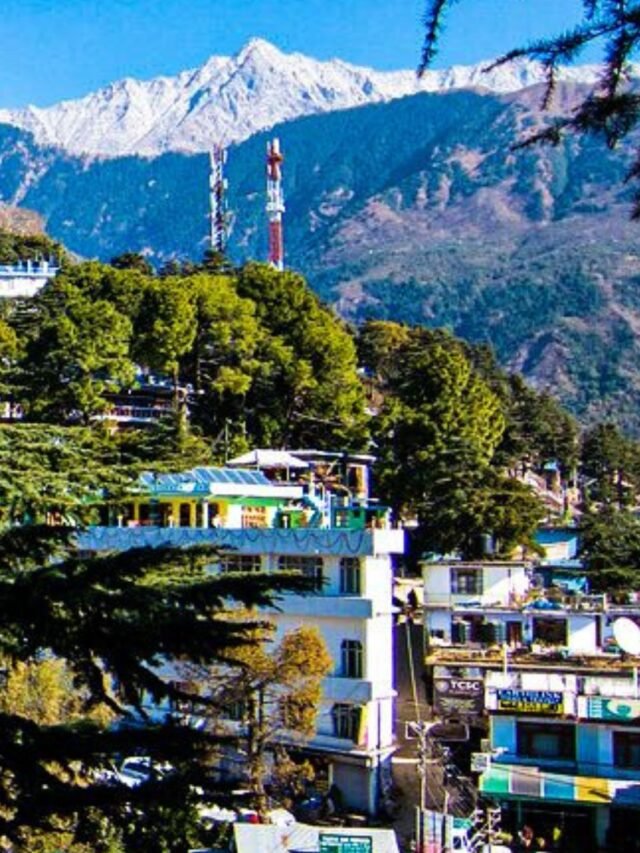 A serene image of Dharamkot