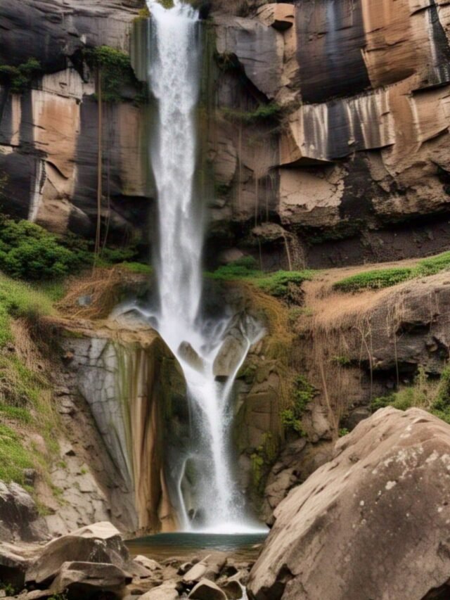 A collage of lost natural treasures including coral reefs, glaciers, forests, and dried-up lakes.