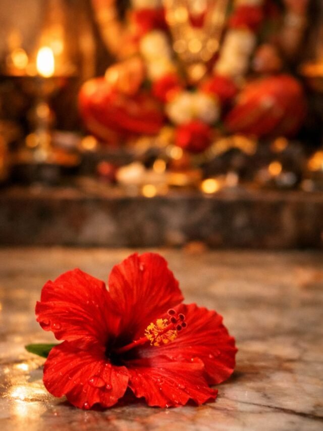 A fresh flower fallen on the floor in front of a Hindu deity idol inside a small home temple