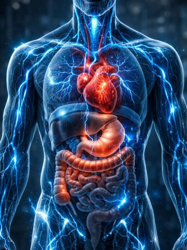 Human body anatomy glowing with brain, heart, and organs showing incredible biological functions